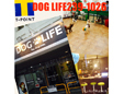 ＤＯＧ・ＬＩＦＥｂｙ−ｄｏｇｃｏｍ