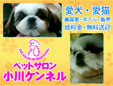 ペットサロン小川ケンネル