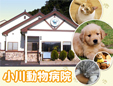 小川動物病院