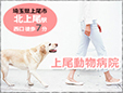 上尾動物病院