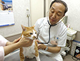 鈴木憲太動物病院