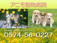 アニモ動物病院